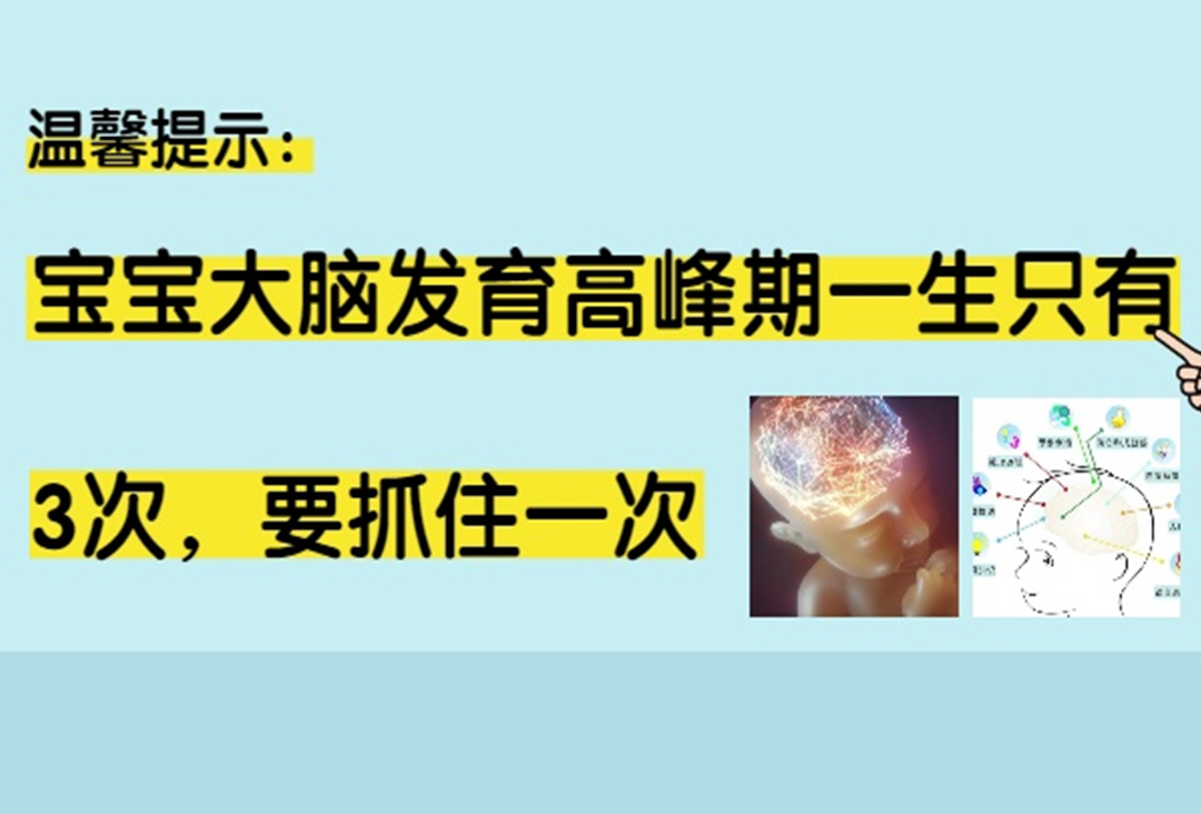 哈佛大學(xué)研究發(fā)現(xiàn)：寶寶大腦發(fā)育高峰期一生只有3次，要抓住一次